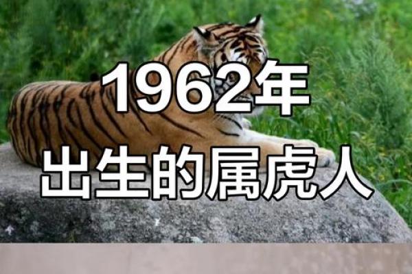 2026年属虎者需回避之人