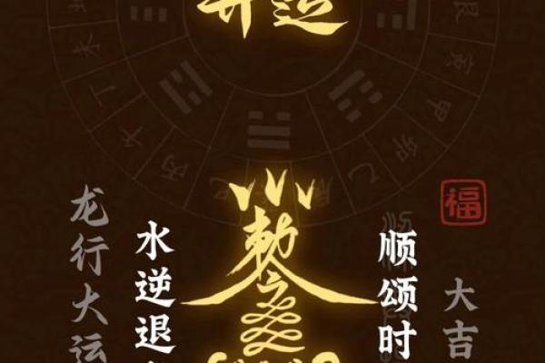 属鼠者终身财富走向