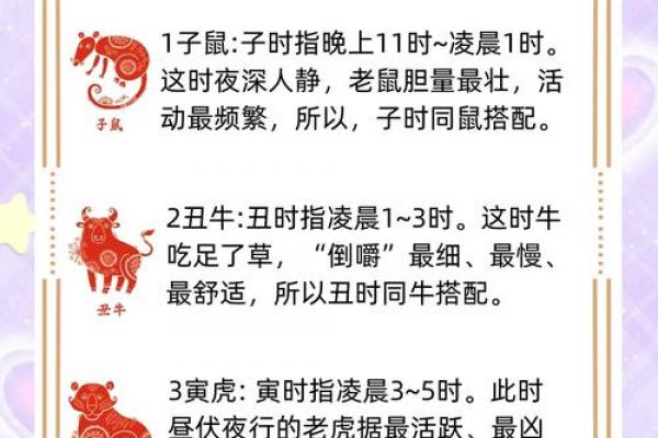 属猪者为何避让鼠年出生之人