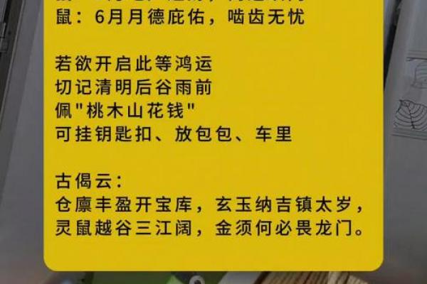 属鼠者运势低迷如何化解