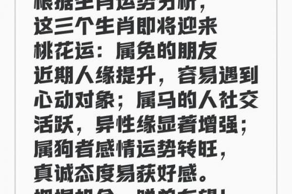 属兔者哪年迎来桃花运