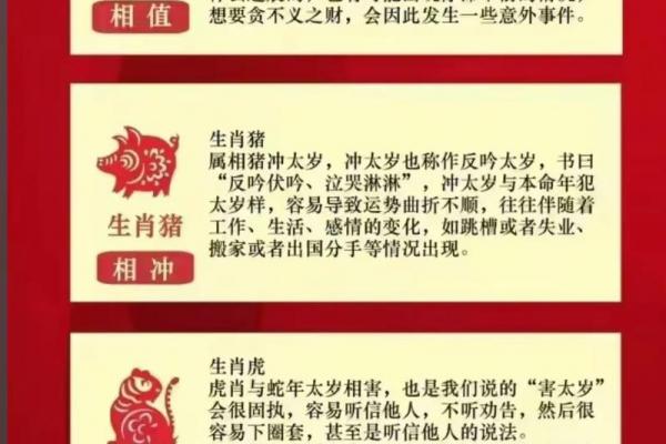 猪男最避讳迎娶的生肖女