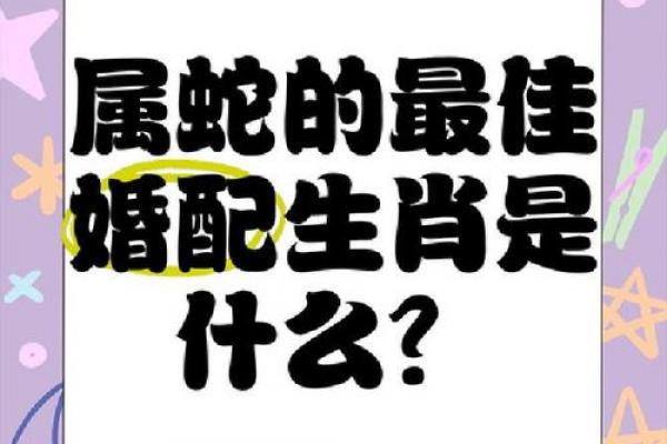 2026年属蛇者的真爱对象
