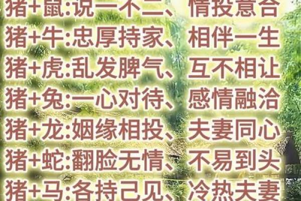 猪男最讨厌的属相女