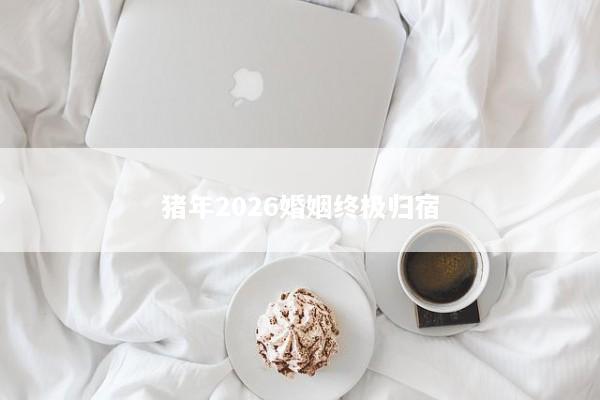猪年2026婚姻终极归宿