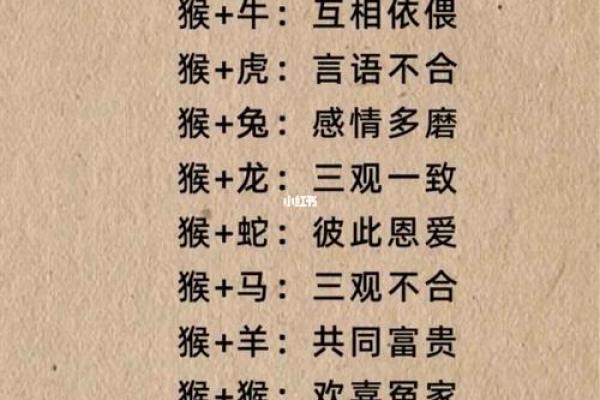 水猴命最配的属相