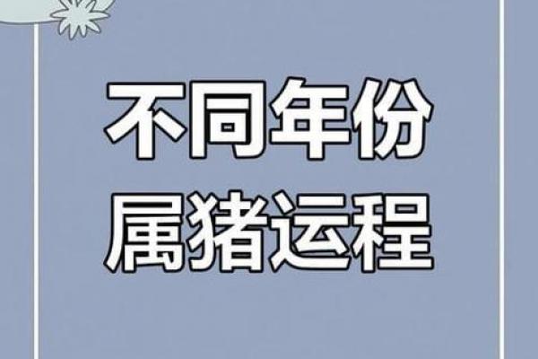 2026年生肖猪上半年运程解析