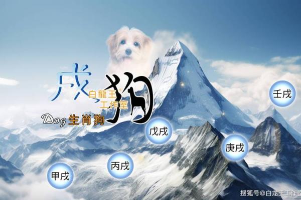 2026年属狗女性运势解析