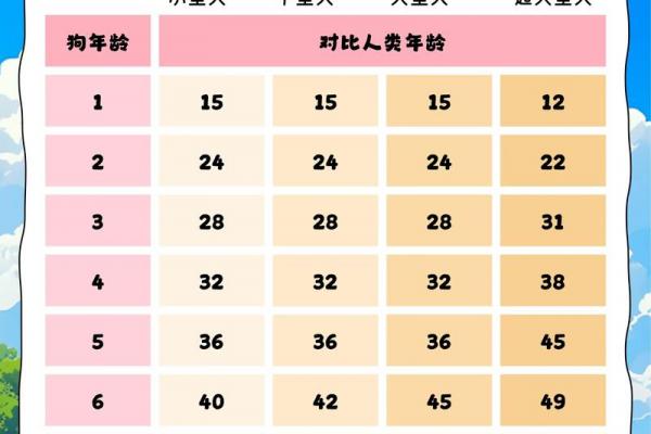 11月降生的狗狗命格如何