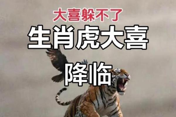 1986年出生属虎女性的财运如何