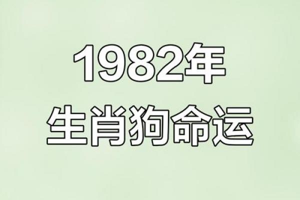 1982年属狗者后半生婚姻运势