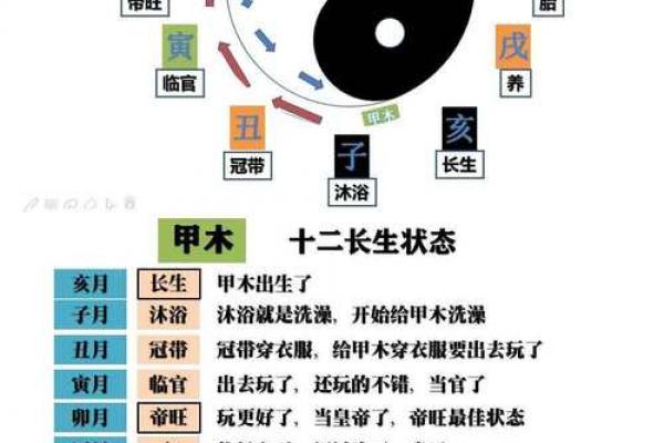 十二地支寅木详解