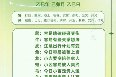 2026马年对属鼠人运势影响解析