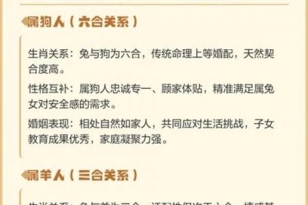 生肖兔晚年命运归宿