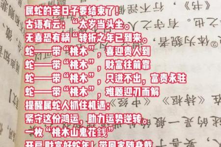 土蛇命与大海水命是否相合