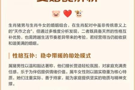 属猪人最佳婚配生肖是哪个