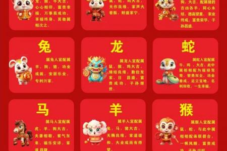 属龙女性婚嫁禁忌方向与相冲属相解析