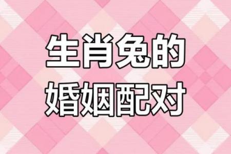 属兔者二婚能否白头偕老，二婚属兔人的最终结局如何