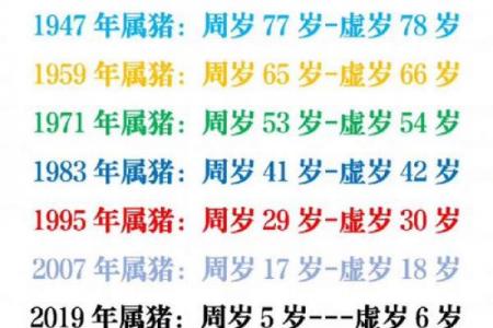 属猪人永久最吉利数字