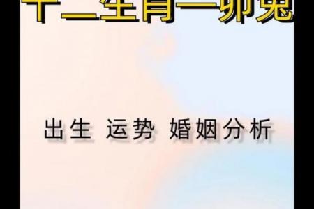 两口子都属兔合适吗，兔配兔的婚姻运势如何
