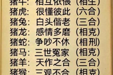 属猪者能压制何类人