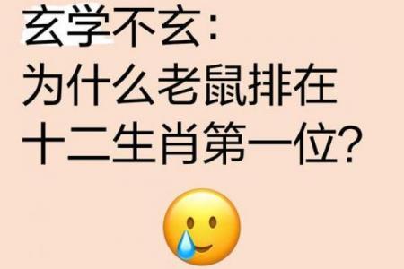 木鼠命究竟好不好
