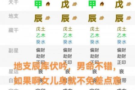 水龙命最佳出生时辰解析