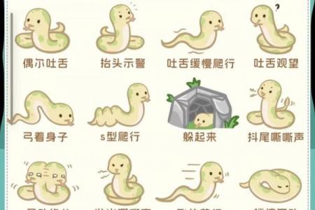 蛇女最嫌弃哪个生肖男：从入门到精通