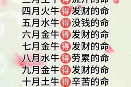 丑时降生的属牛者运势解析
