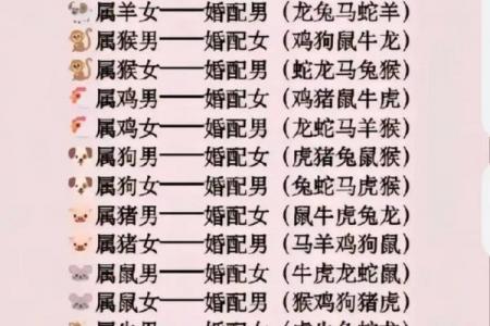 水猴命与大林木命的婚姻匹配