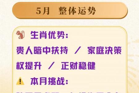 属猴者桃花运最盛的年份