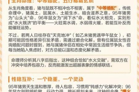 95年属猪的最佳配对属相