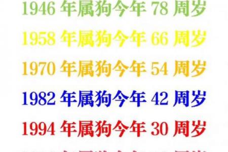 属狗者添丁吉年
