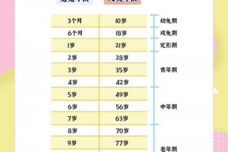 属兔者运势巅峰的年龄段