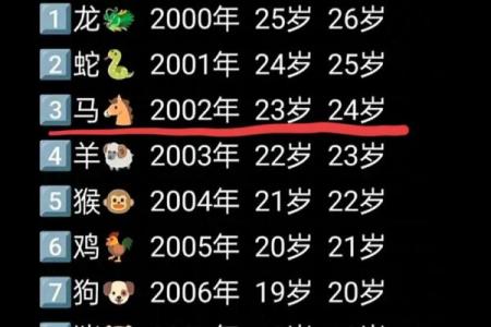02年属马人最难熬的是哪一年