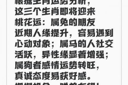 属兔者哪年迎来桃花运