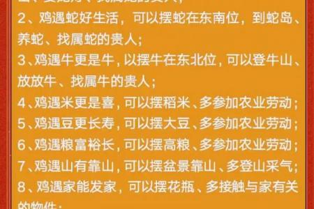 属鸡女性后半生是否为寡妇命