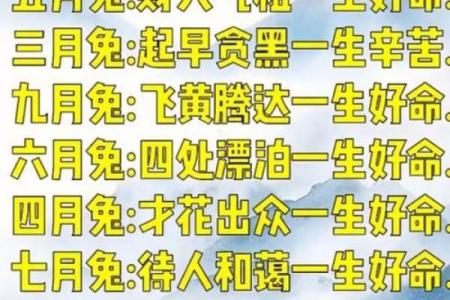 属兔人最重视的人是谁