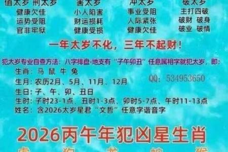 属虎者2026年是否逢大孝