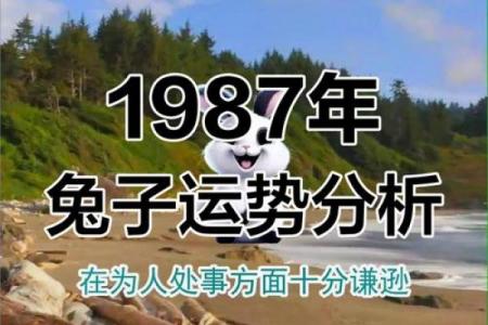 1987年火兔命理缺什么解析