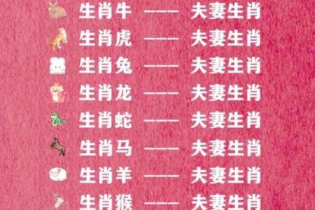 属牛人二婚方得正缘？头婚与二婚哪个更合适