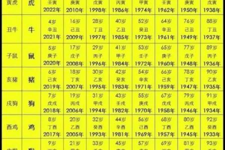 2009年属牛者最吉出生时辰