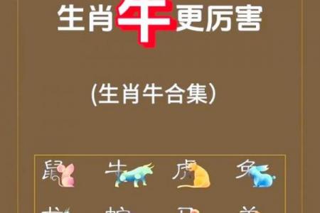 生肖牛晚年命运解析