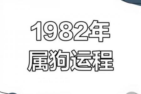 1982年属狗人2026年姻缘运势分析