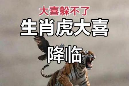 1986年出生属虎女性的财运如何