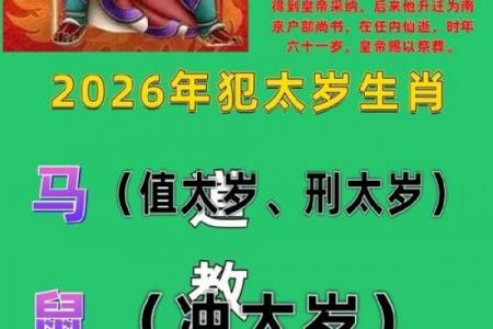 属鼠者哪一年犯太岁最严重