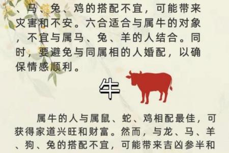 牛与何人婚配最旺运