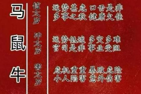 2026丙午年属鼠者需规避事项