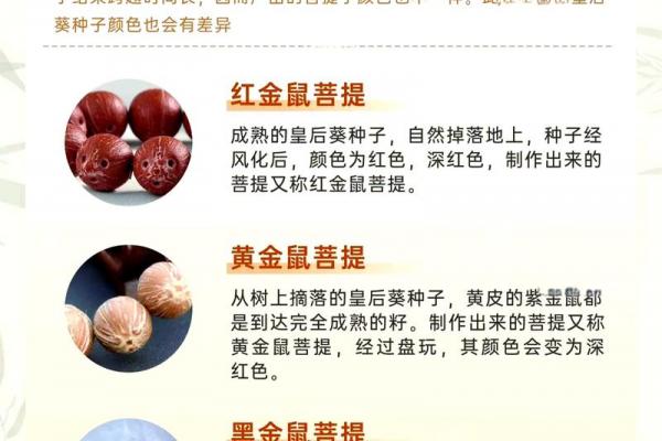 木鼠命适宜从事的生意类型