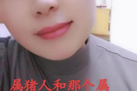 属猪人最厌恶的三位人物是谁